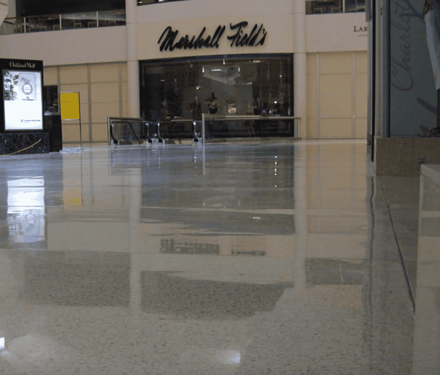Terrazzo Grinding and Polishing - Tercon Systems